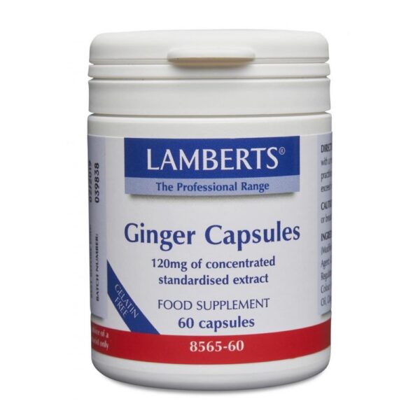 GINGER CAPSULES (Ginger Root 14,400mg)