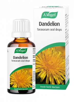 a vogel Dandelion