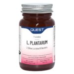 L. Plantarum 90