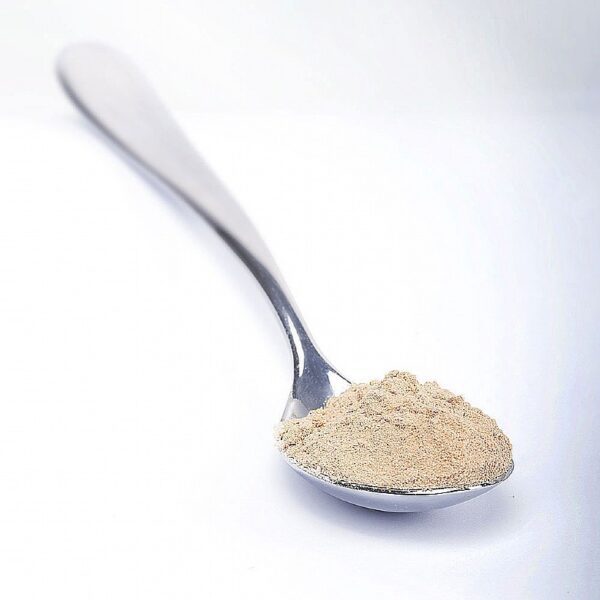 Pea Protein (powder)