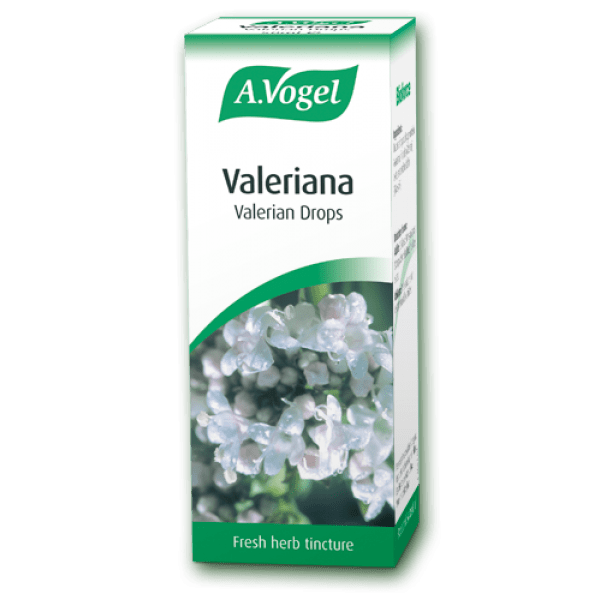 Valeriana officinalis vogel