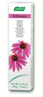 echinacea toothpaste 100ml