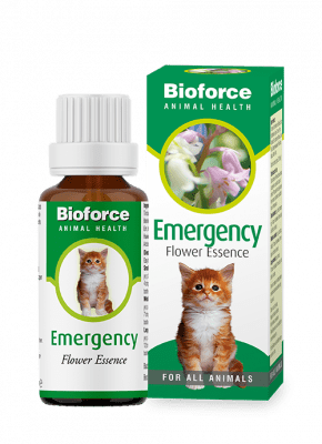 Animal Emergency Essence