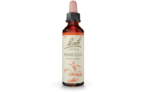 Mimulus Bach Original Flower Remedy