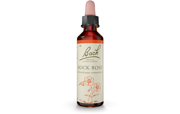 Rock Rose Bach Original Flower Remedy